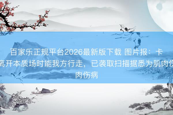 百家乐正规平台2026最新版下载 图片报：卡尔离开本质场时能我方行走，已袭取扫描据悉为肌肉伤病