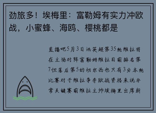 劲旅多！埃梅里：富勒姆有实力冲欧战，小蜜蜂、海鸥、樱桃都是